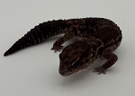 Hemitheconyx caudicinctus 'African Fat Tail Gecko'